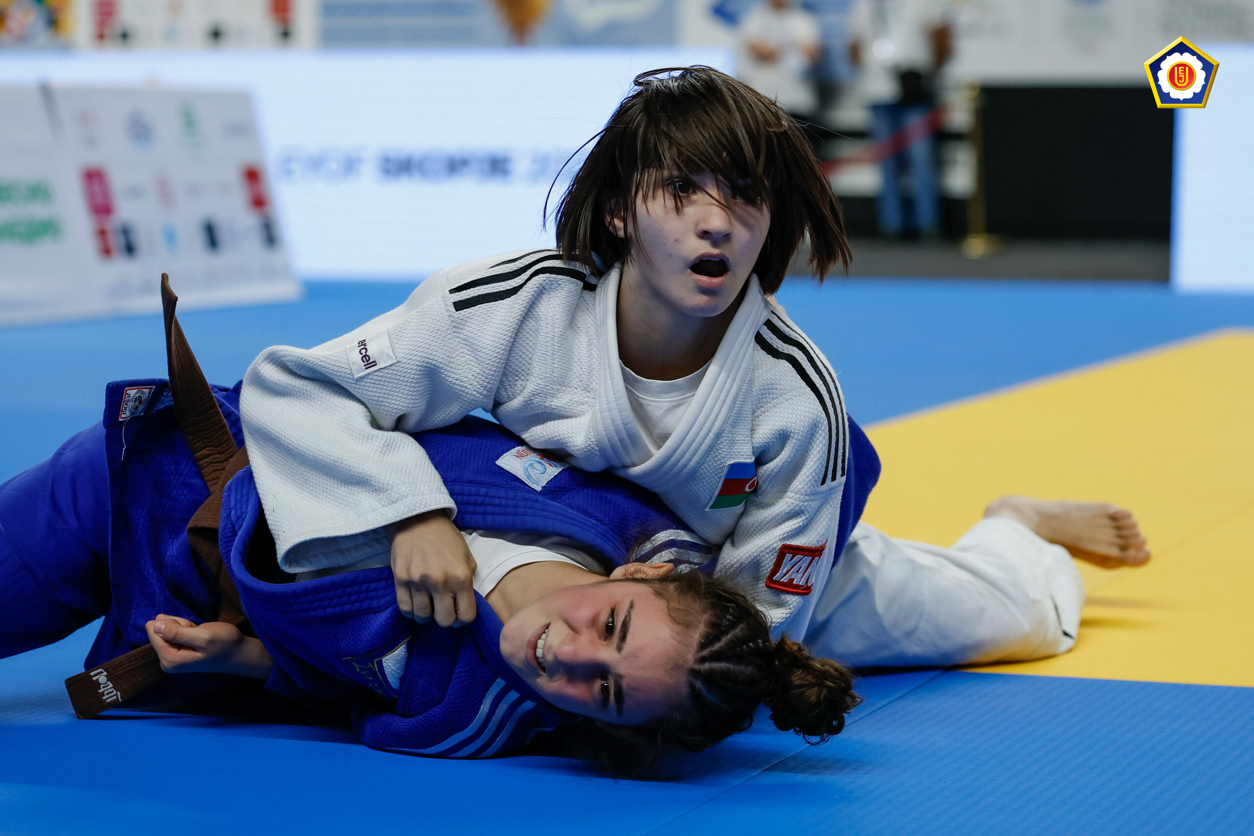 Skopye-2025: Cüdoçularımızdan bir gündə üç qızıl medal - FOTO
